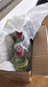 李渡高粱 1975古窖珍酿 元窖香型白酒 51度 520ml 单瓶装 实拍图