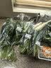 【烧烤季】白蘑菇(口蘑) 230g 实拍图