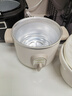 天际（TONZE）电炖锅家用迷你炖锅1L煲汤煮粥锅经典机械式陶瓷内胆炖汤锅1人用 DDG-10DX 实拍图