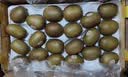 佳沛（zespri）新西兰 阳光金果18粒超大果原箱单果175-204g 猕猴桃水果礼盒 实拍图