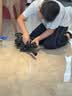 Holy STONE儿童玩具枪8-12岁男孩水发软弹枪突击步枪连发M416射击玩具高射速 M416满配礼盒【榴弹+弹鼓+弹夹+红外+倍镜+电动手动】 三角洲玩具枪6-10-15岁7-14+新款2026 实拍图