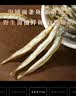 赶海弟【潍坊产地】面条鱼干500g熟晒玉筋小银鱼干货海鲜  源头直发包邮 实拍图