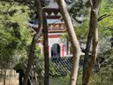 匹克【两只装】健身手套男女运动骑行半指单杠引体向上撸铁防滑护手XL 实拍图