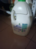 滴露（Dettol）衣物除菌液松木3L 内衣袜子衣物长效杀菌除螨 衣服消毒液儿童可用 实拍图