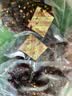 京东京造风干牦牛肉干青藏高原纯正牦牛麻辣高蛋白减脂超干9成干180g含3包 实拍图