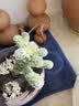轩邑适用丰田车载数据线2025新款锋兰达卡罗拉锐放凯美瑞carplay投屏充电线快充凌放赛那双type-c 1.5m 实拍图