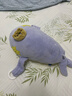 babycare婴儿玩偶安抚枕多功能哄睡枕侧睡靠背档枕沃伊鲸鱼45*23*15-0-1岁 实拍图