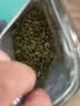西域美农南瓜子仁500g（1斤）大颗粒无壳生南瓜籽仁坚果休闲零食 当季新籽 实拍图