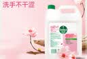 滴露（Dettol）洗手液补充装大桶消毒滋润5L 儿童家庭装杀菌护手 实拍图