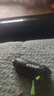 【钜惠让利】充电式电动螺丝刀家用充电小型螺丝批锂电电钻工具 简单配置3件套装（电动螺丝批+批头+充电线） 实拍图