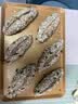 展艺手动按压打蛋器半自动 不锈钢搅蛋器辅食工具蛋糕奶油烘焙搅拌器 实拍图