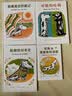“好脏的哈利”系列（套装全4册） （爱心树童书） 实拍图