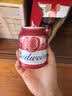 百威啤酒mini红罐淡色拉格255ml*12小罐整箱装京东自营喜酒 实拍图