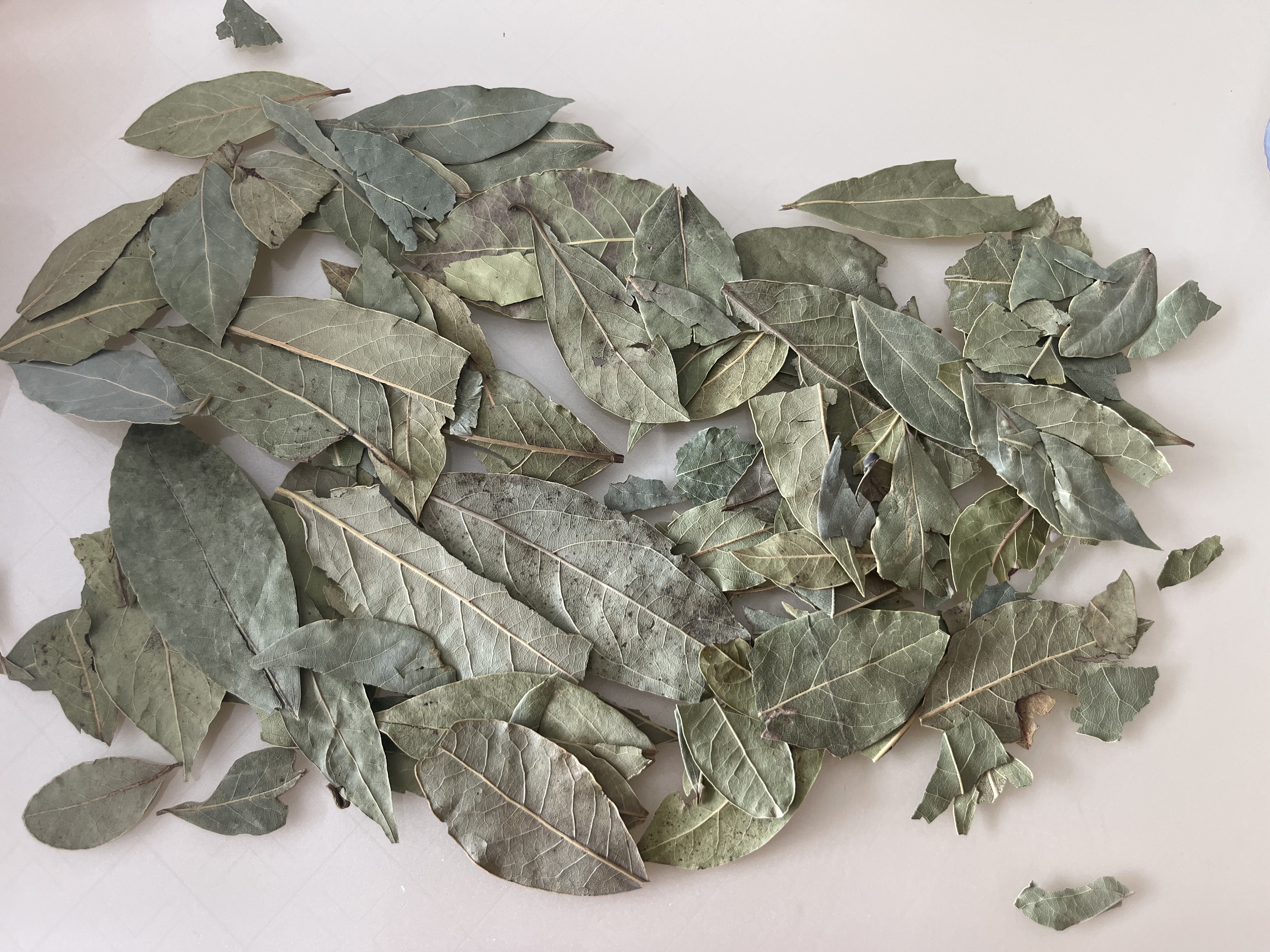 富昌 香辛料 香叶40g(20g*2)月桂叶调味 凉拌 火锅调料 佐料炖肉料 实拍图
