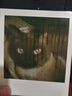 宝丽来（Polaroid）i-Type型拍立得相机相纸 复古胶片【限I-2&Flip&Now&Now+&Lab可用】 26年1-4月i-Type白框双包装相纸 (16张) 实拍图