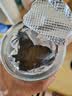 修年堂 炒火麻仁250g 去壳饱满火麻籽筛捡精选无壳好货 养生茶滋养品 实拍图