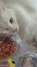 鲜朗低温烘焙猫粮无谷全阶段通用型鲜郎营养高蛋白鸡肉全价猫粮囤货装 烘焙猫粮2kg*4【囤货装】 实拍图