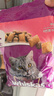 伟嘉成猫猫粮1.3kg牛肉味布偶蓝猫橘猫加菲英短猫咪夹心粮全价粮 实拍图