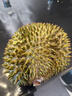 佳沛（zespri）新西兰 阳光金果25-27粒原箱特大果单果124-146g 猕猴桃水果礼盒 实拍图