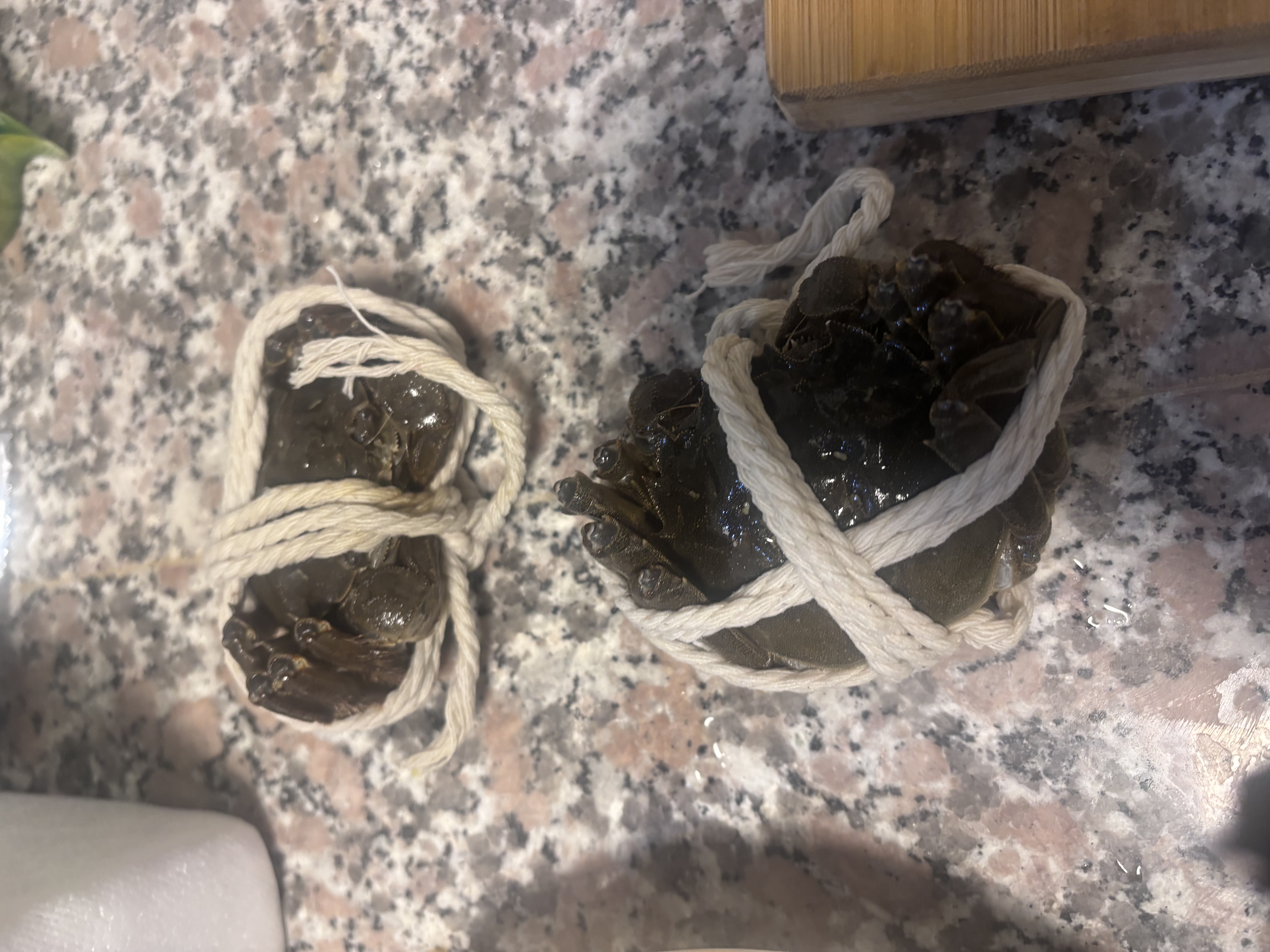 【活蟹】乾澄大闸蟹现货 全母蟹2.0-2.3两 10只 去绳足重鲜活六月黄螃蟹海鲜礼盒装 实拍图