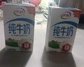 伊利【新鲜日期】纯牛奶250ml*21盒整箱 优质乳蛋白早餐奶 礼盒装 实拍图