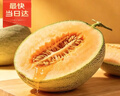 京鲜生 哈密瓜/西州蜜 1粒 单果2.5斤起 生鲜水果 实拍图