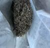 陈一凡张家界高山莓茶100g 特优级富含硒黄酮龙须嫩芽尖袋装莓茶 实拍图