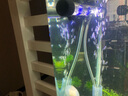森森（SUNSUN）鱼缸灯led灯照明灯变色LED水族箱造景灯龙鱼灯潜水灯 【9W光之白】45cm长 适合60-70缸 实拍图
