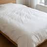 MUJI[自营限定款]柞蚕丝薄被 加大双人用 220*240cm 被子纯棉面料 实拍图