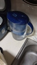 碧然德（BRITA） 家用滤水壶 净水壶滤芯 Maxtra 多效滤芯 6枚装 实拍图