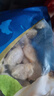 獐子岛 蚬子肉1斤 去壳去沙蛤蜊肉花甲肉 海鲜水产贝类火锅烧烤原料 实拍图