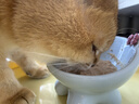 领先成猫尝鲜礼包主食级烘焙猫粮猫条餐盒汤包（新老款随机发货） 实拍图