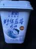 兰格格 草原酸奶 野生蓝莓300g*4杯0蔗糖酸奶 产地乌兰察布源头直发 实拍图