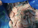 鲜生说熟冻带籽北极甜虾 净重3斤/盒 135-180只 海鲜 冰虾 35%含籽率 实拍图