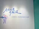 SWANS儿童日本进口泳镜男高清防水防雾女童大框游泳眼镜游泳装备SEG1-4 实拍图