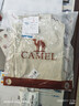 骆驼（CAMEL）夏季新款冰感软壳裤防晒直筒工装男户外防泼水休闲伞兵裤 实拍图