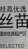 挂荔增城增城丝苗米5KG 长粒香大米10斤 南方大米 国家地标产品 实拍图