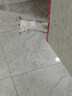 好主人（CARE）金装好主人成猫通用全价无谷冻干【体态管理】鸡鱼味成猫粮4.6斤 实拍图