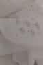 哇爱防溢乳垫一次性超薄溢乳贴春夏季孕妇哺乳期防溢透气隔乳垫儿 【纤薄无感-悬浮瞬吸】200片 实拍图