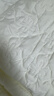 洁丽雅（Grace）A类抗菌夹棉床笠可水洗床罩床垫保护套 奶白1.8米 实拍图