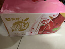 蒙牛真果粒草莓味牛奶饮品250g*12盒  礼盒新老包装 含乳饮料送礼礼盒 实拍图