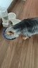 皇家狗粮 幼犬狗粮 宠物 小型犬 MIJ31 全价犬粮 2-10月 2KG 实拍图