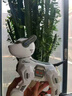 久好AI智能机器狗3-6-10岁遥控车儿童礼物益智玩具男孩女孩陪伴打电话 实拍图