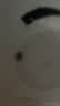 中兴（ZTE）晴天PoE全屋路由套装 子母路由全覆盖 全屋千兆WiFi6无死角（1母2子套装）AC+AP穿墙王 星云系列 实拍图