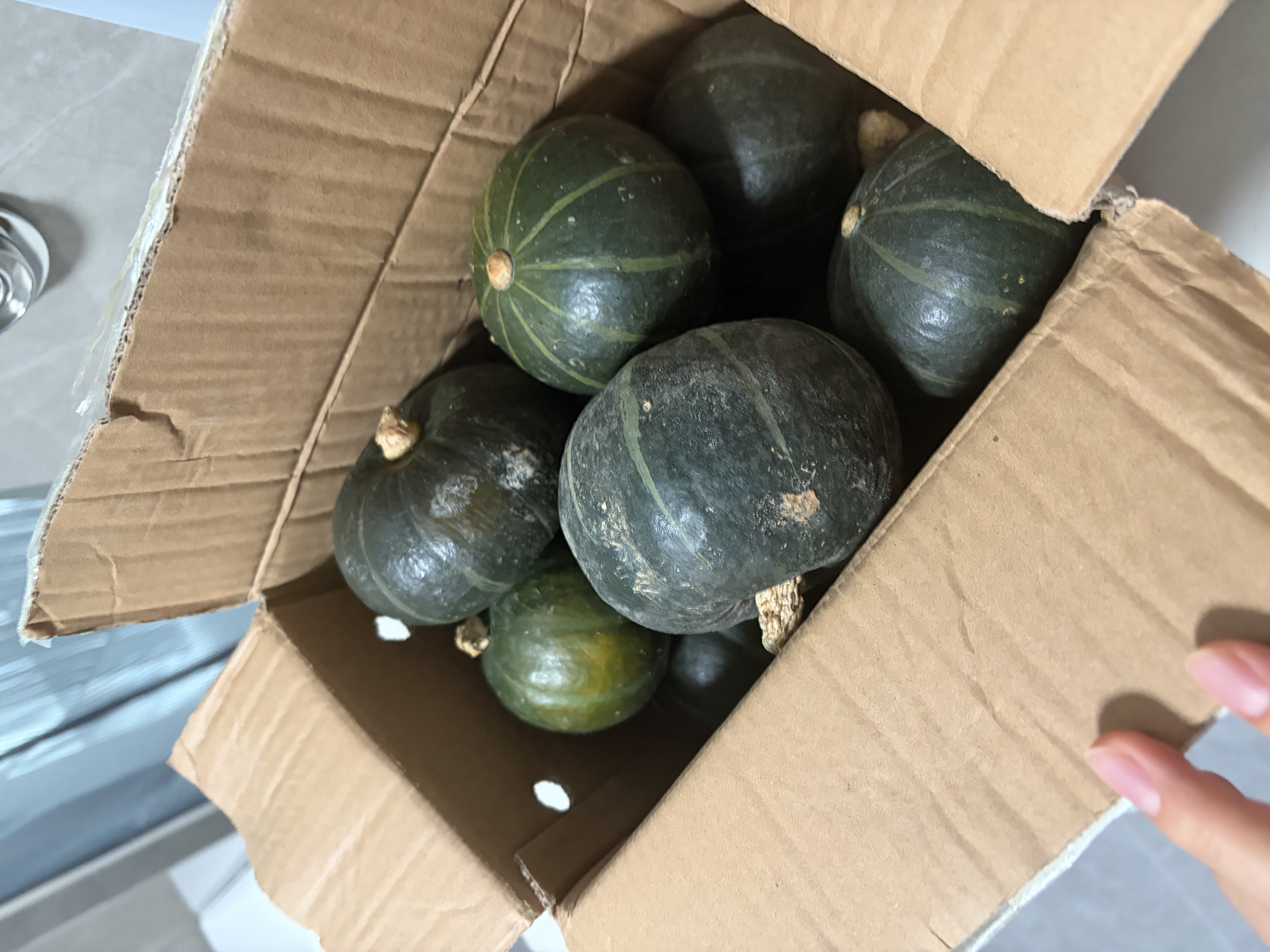 京鲜生 山东贝贝南瓜 净重3斤 单果300g+粉糯蔬菜辅食源头直发 实拍图