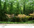 松下（Panasonic）Lumix G100D M43画幅相机 M43卡口 微单相机 无反数码相机 G100D+【12-60mm白盒】单镜套装 实拍图