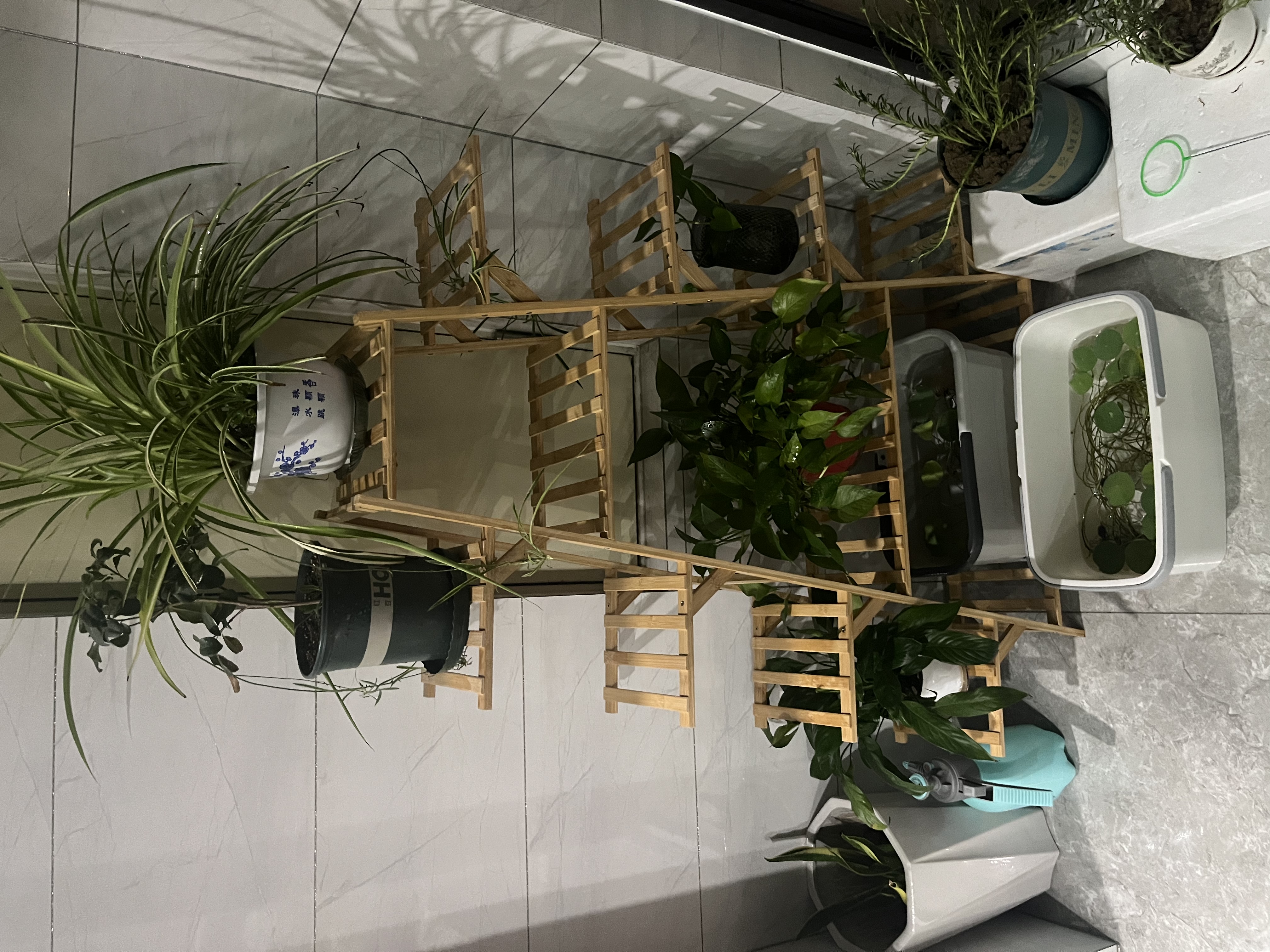 丝竹阁花架置物架阳台落地式创意客厅多肉实木多层网红花盆靠墙绿萝架子 A字原色12层 实拍图