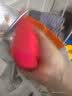 JBL GO5 音乐金砖五代 蓝牙音箱 便携迷你音响 氛围灯音箱 口袋音箱 Pocket 出游搭子 礼物 石榴红 实拍图