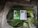 【24小时菜】富硒小油菜200g 实拍图