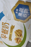 伊利6月伊利早餐核桃奶麦香250ml*24盒装整箱营养牛奶中老年早餐伴侣 【4月】早餐核桃奶250ml*24盒 实拍图